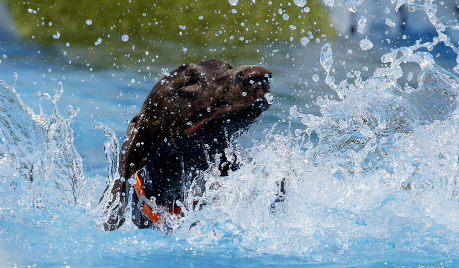 20190520_MET_RIVERROCK_JM15